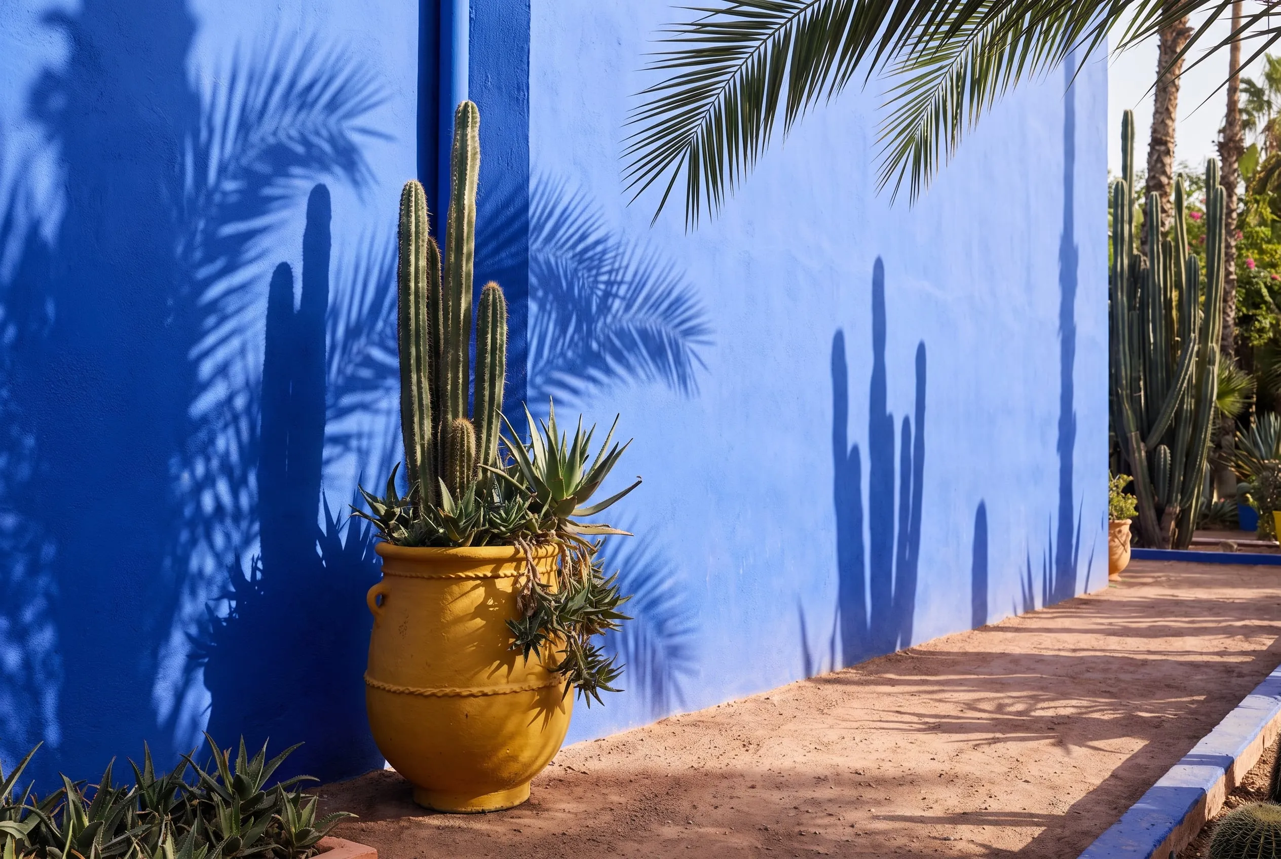 Majorelle-blauwe tuinmuur in Marrakech met schaduwen van palmen en cactussen